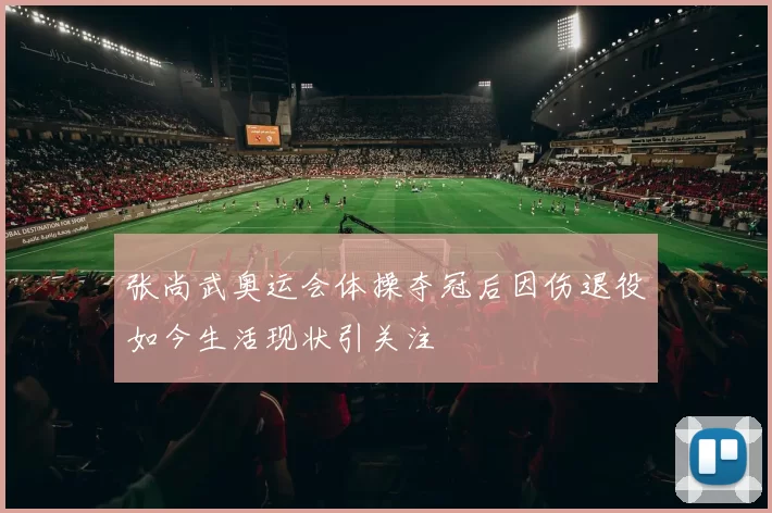 张尚武奥运会体操夺冠后因伤退役如今生活现状引关注