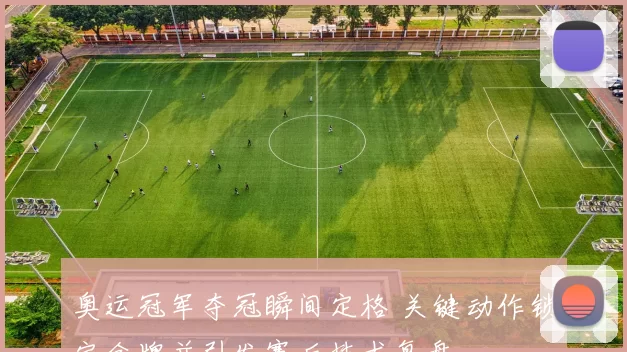 奥运冠军夺冠瞬间定格 关键动作锁定金牌并引发赛后技术复盘